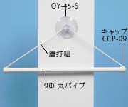 CMS-2895̉摜