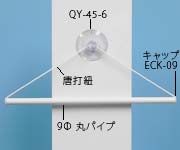CMS-2895̉摜